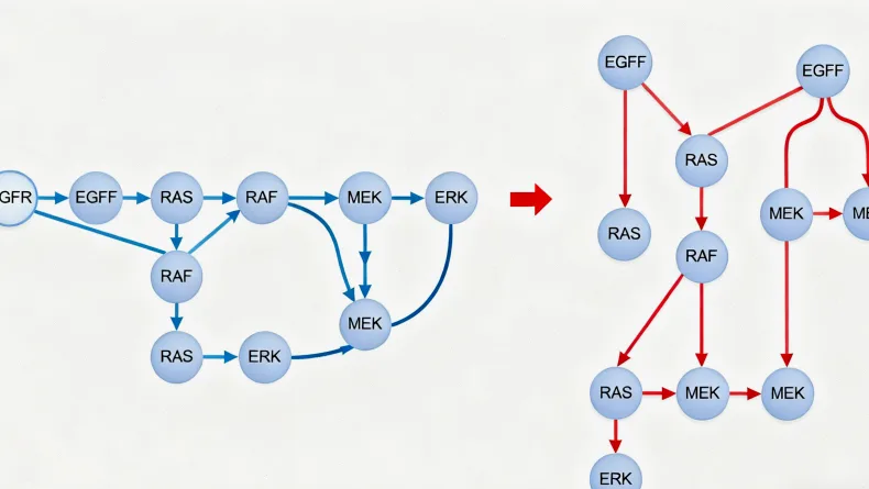 下一代测序技术流程简图