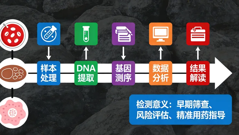 基因检测从采样到报告的全流程示意图