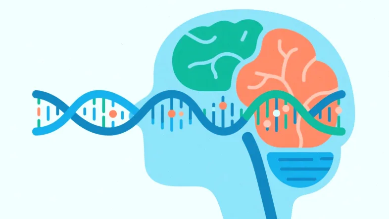 膀胱癌基因检测核心流程示意图