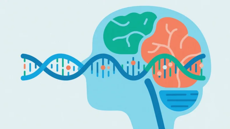 基因检测报告关键部分示意图