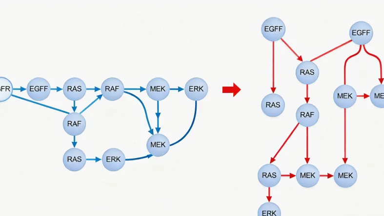 宫颈样本采集操作现场图
