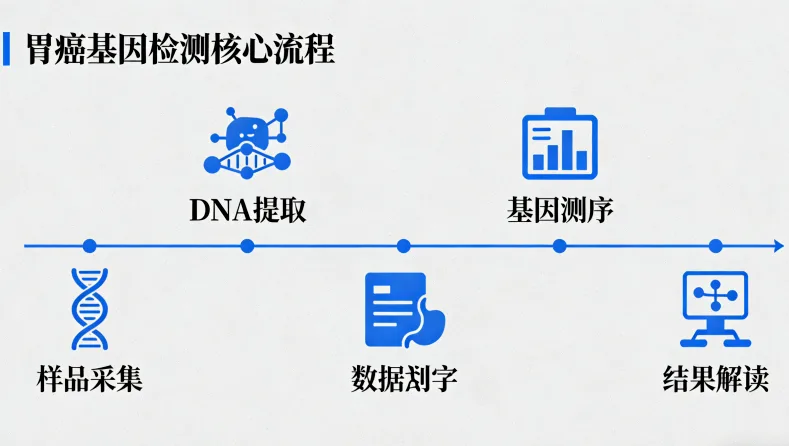 血液肿瘤基因检测全流程示意图
