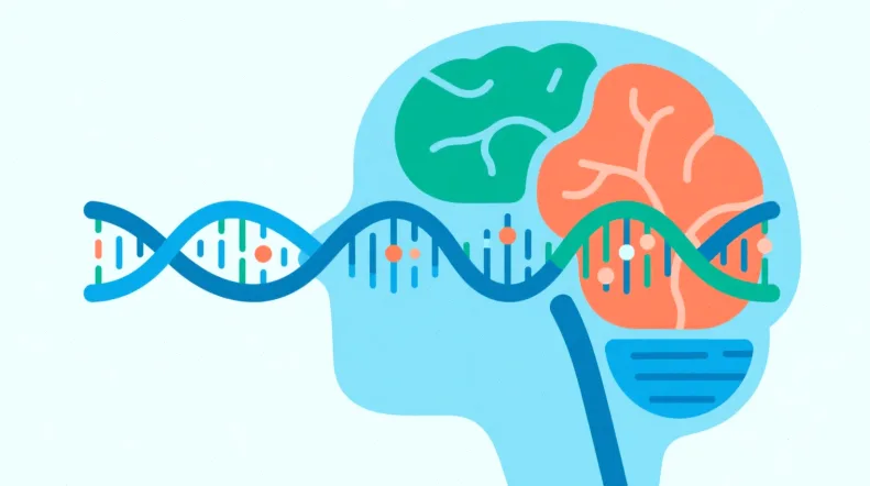 甲状腺结节细针穿刺活检示意图