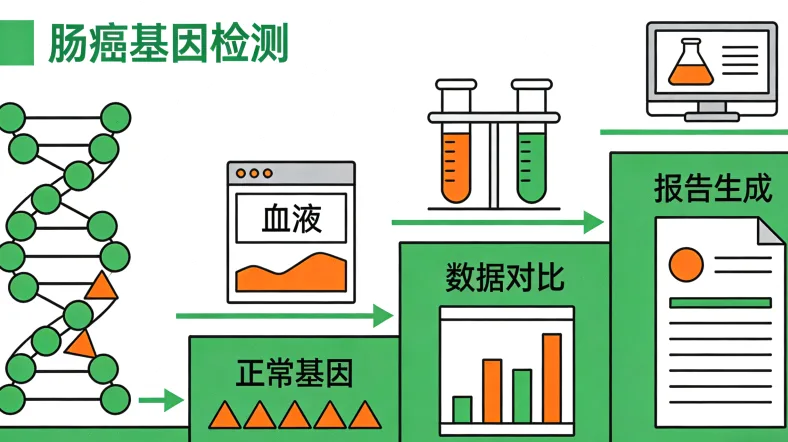 结直肠癌基因检测核心基因示意图