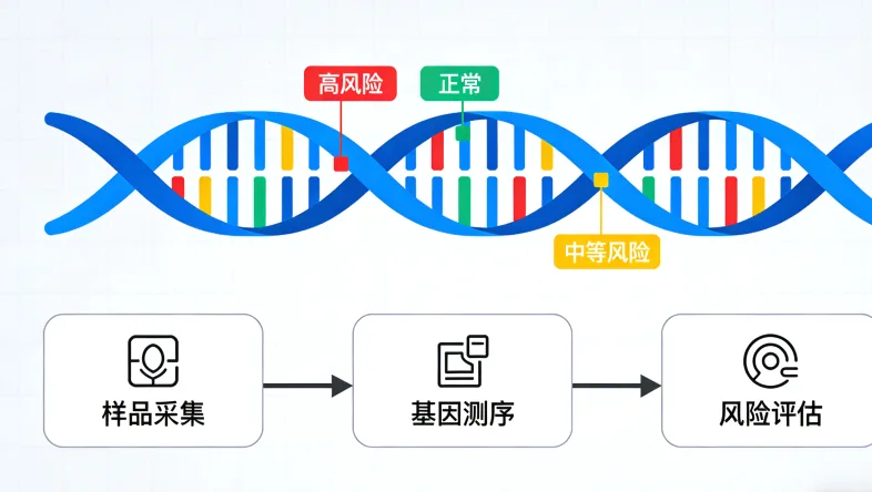 专业基因检测报告重点栏目标识图