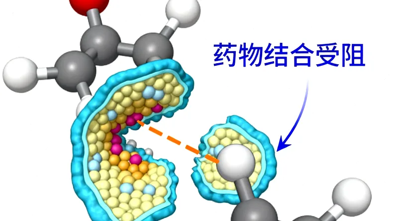 肉瘤基因检测科学原理示意图