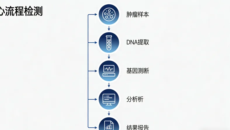靶向药物精准作用癌细胞示意图