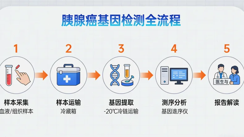 宫颈脱落细胞采样操作步骤图解