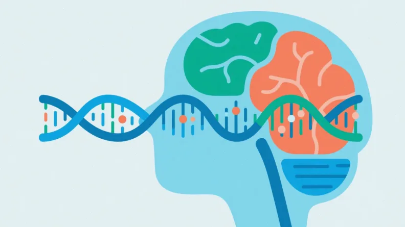 宫颈癌基因检测取样示意图