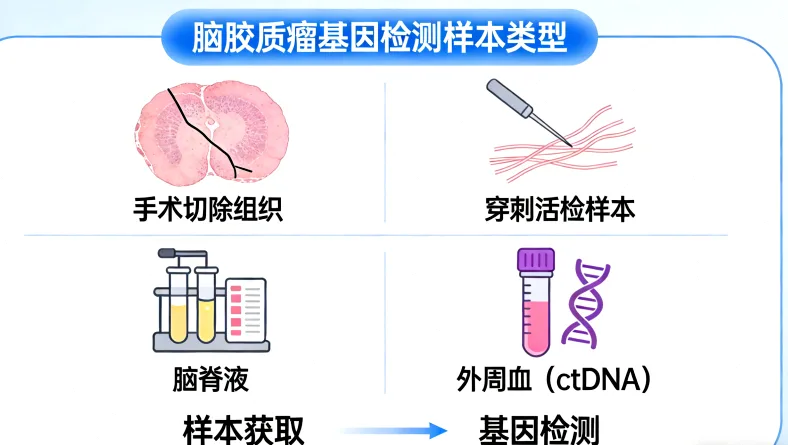 高通量测序仪在实验室工作中