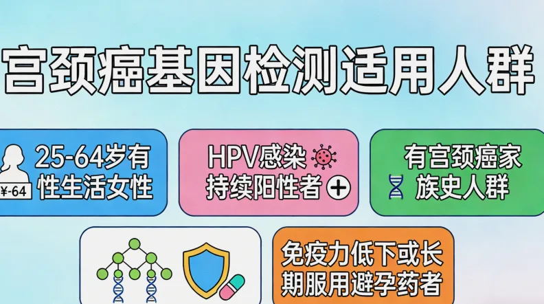 NF2基因功能与突变示意图解
