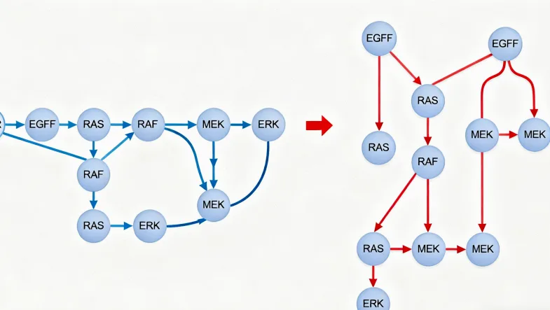 基因检测报告关键部分解读示例