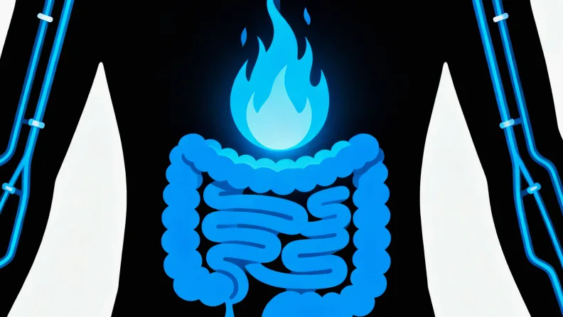 胃部结构示意图中突出显示肿瘤位置