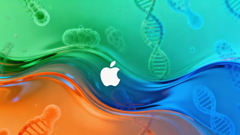 免疫组化（IHC）染色结果示例