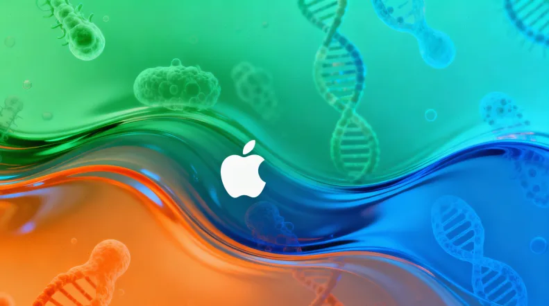 洛伊-迪茨综合征常见面部与骨骼特征图示