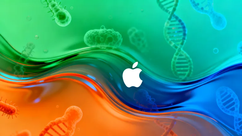 高通量测序（NGS）技术流程简图