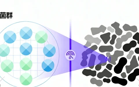 玉林PIK3CA基因检测合法机构(2026年)