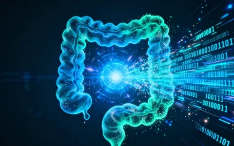 怀仁PD-L1检测应该在哪里做一览（附2026年检测地址汇总）