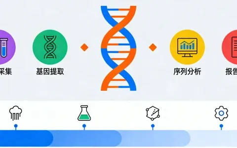 河源乳腺癌基因檢測應(yīng)該去哪里做盤點（附2026年辦理指南)