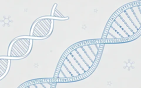 梅州假性軟骨發(fā)育不全基因檢測的機(jī)構(gòu)(附2026年匯總檢測地址)