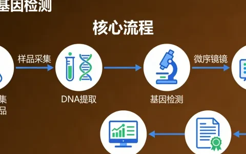延吉胰腺癌基因檢測公司地址查詢一覽（2026附檢測最新手續(xù)）